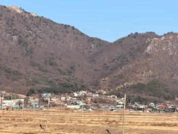 강화도 숨은 보석 같은 맛집, 꽃게와 낙지에서 만나는 향긋한 고향의 맛