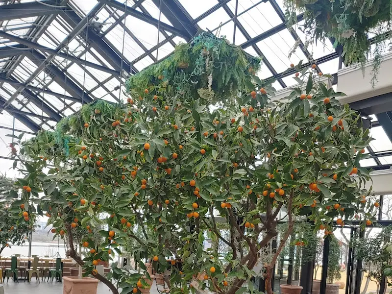 싱그러운 온실 정원