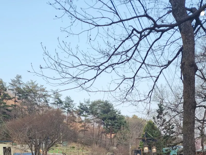 민들레울 야외 풍경