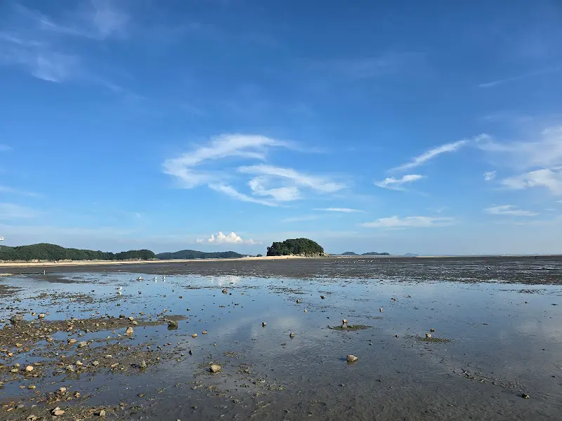 뻘다방 앞 갯벌