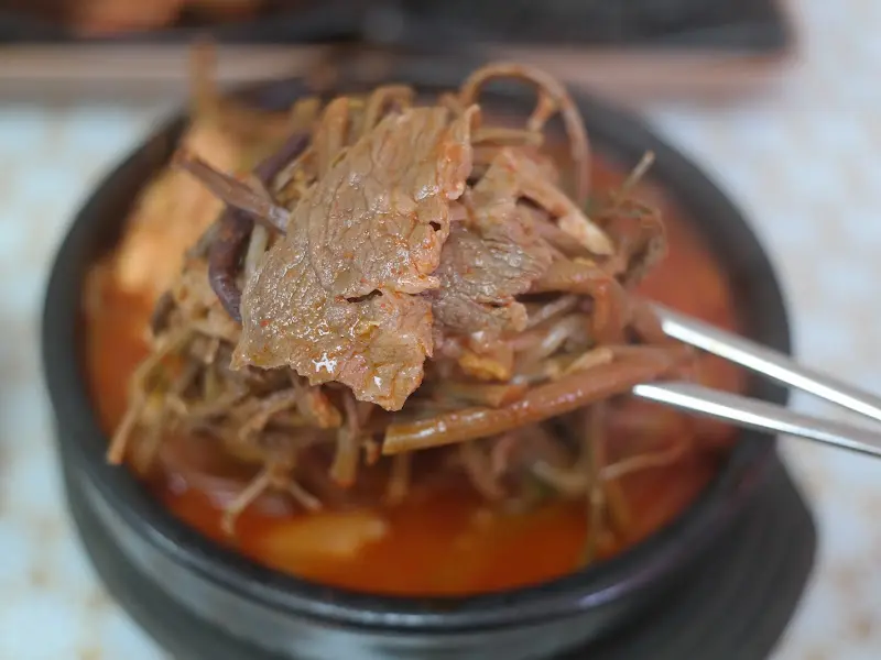 젓가락으로 집어 올린 육개장 건더기