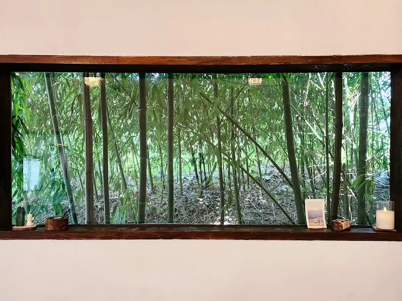 창밖으로 보이는 대나무 숲 뷰