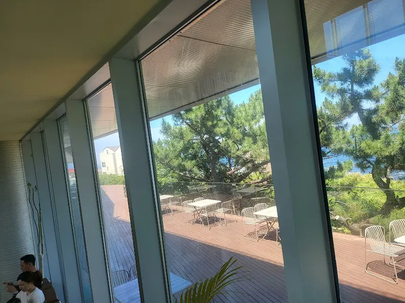 창밖으로 보이는 푸른 나무들