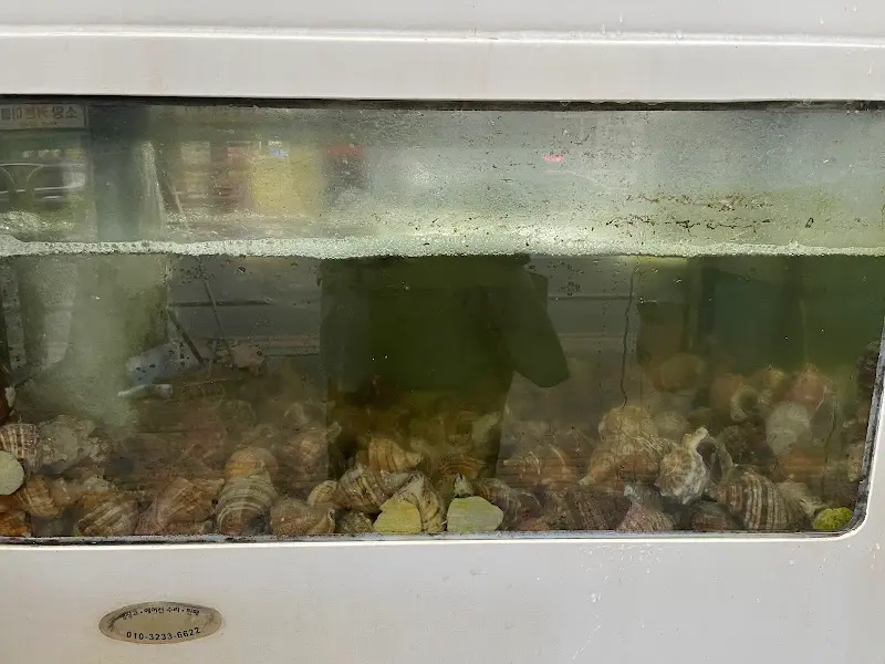 흑산도 소라 수족관