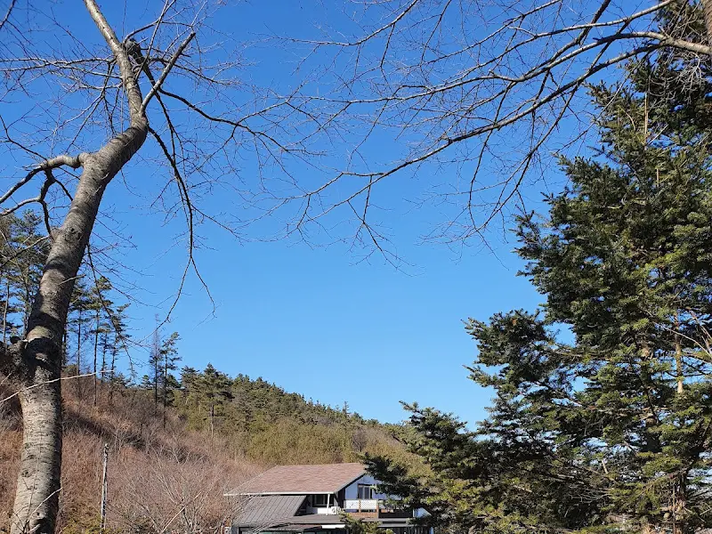 힐링하우스 외부 전경