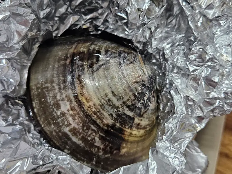 탱글탱글한 백합 속살