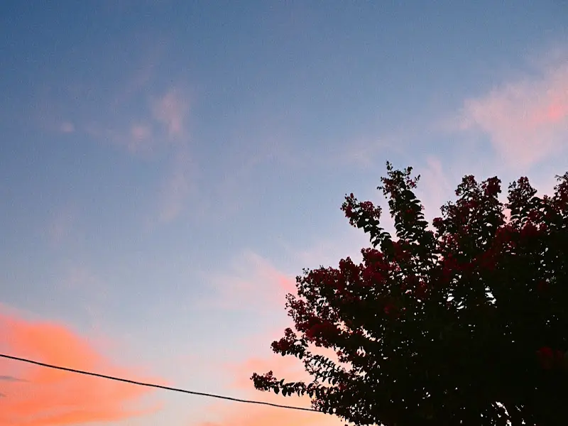 해질녘 붉은 노을