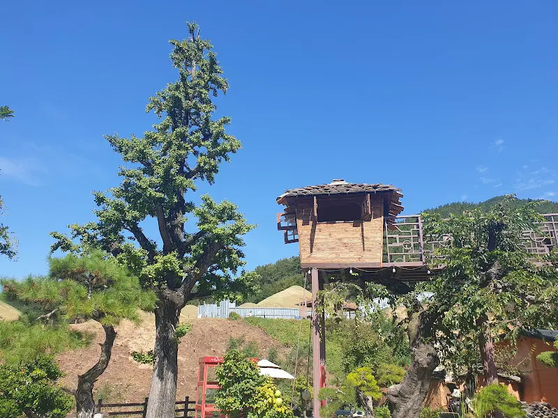 카페 외부, 나무 위에 지어진 작은 집이 인상적이다.