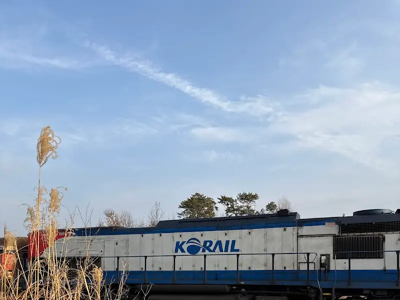 기차가 지나가는 풍경