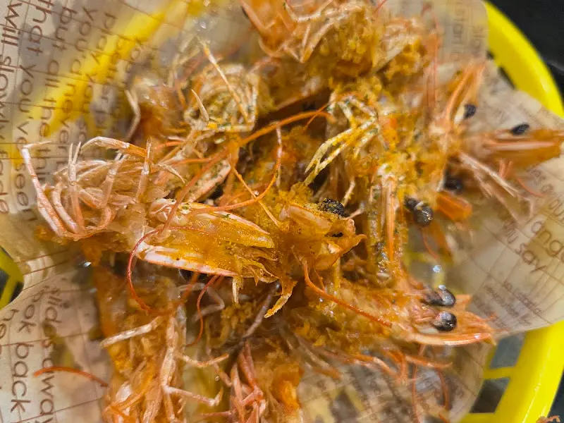 카레 가루가 뿌려진 새우 머리 튀김