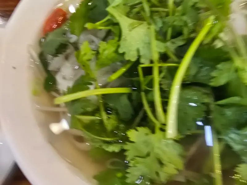 고수가 듬뿍 올려진 쌀국수