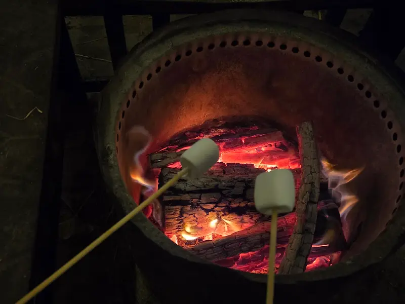 모닥불에 구워 먹는 마시멜로