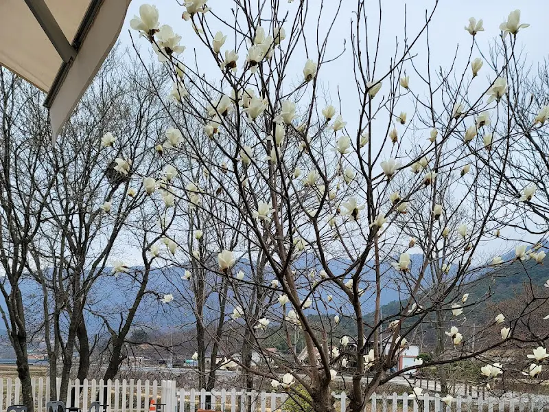 내리식당 주변 풍경