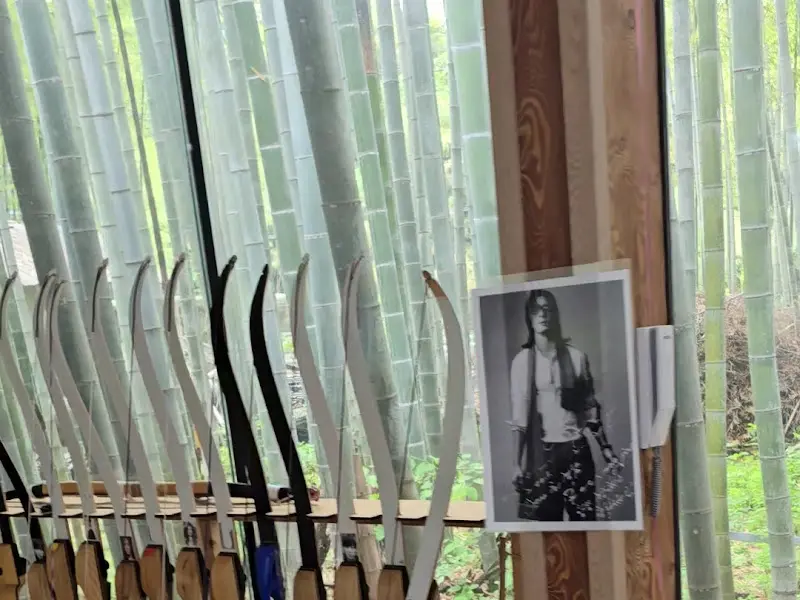 식당 창밖으로 보이는 대나무 숲