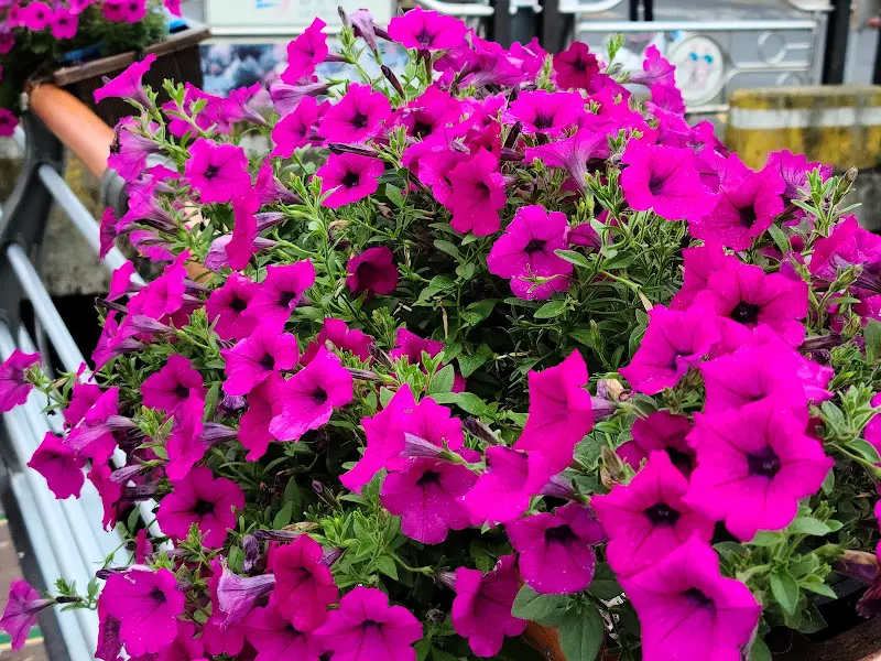 귀빈식당 주변 풍경