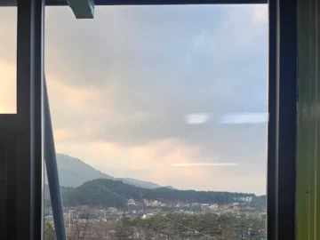 구수한 메밀의 과학, 양양에서 찾은 인생 막국수 맛집