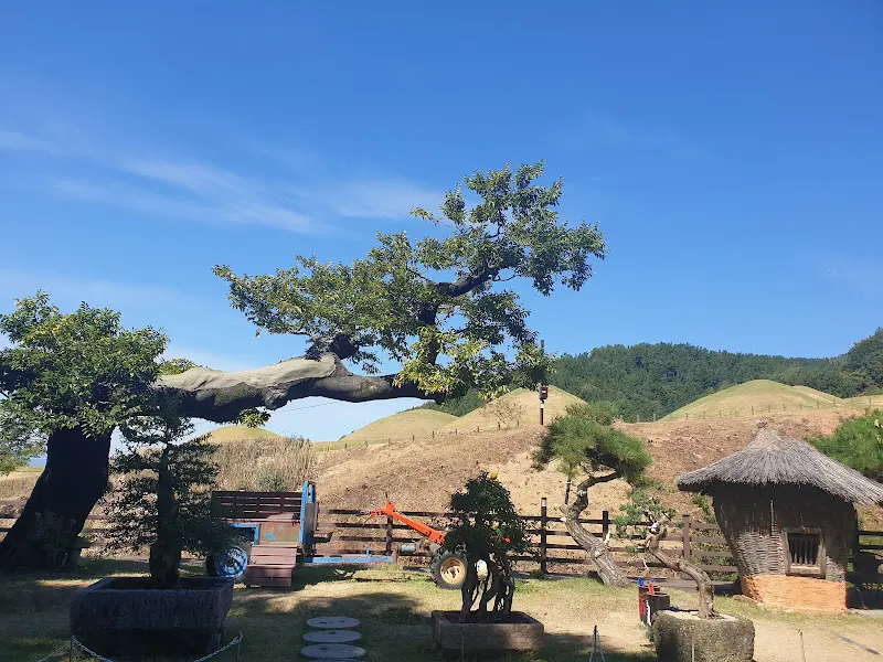 카페 정원의 고즈넉한 풍경