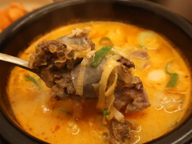 숟가락 가득 떠올린 순대국밥