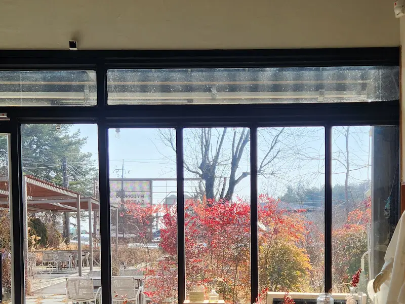 통창 너머로 보이는 정원 풍경