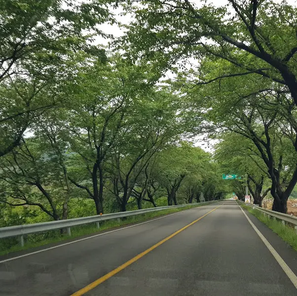 고창으로 향하는 길