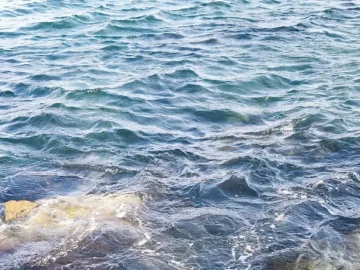 노을빛 낙동강뷰, 다사에서 찾은 인생 매운탕 맛집