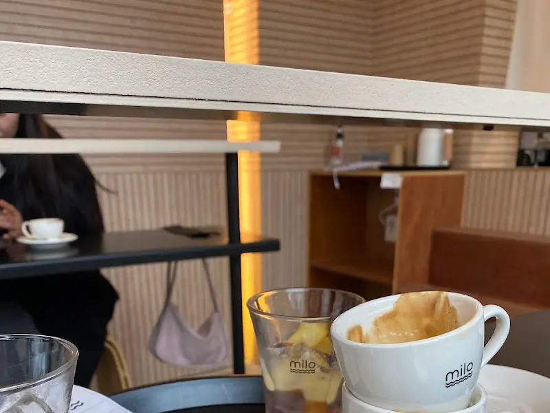 테이블에 놓인 컵들