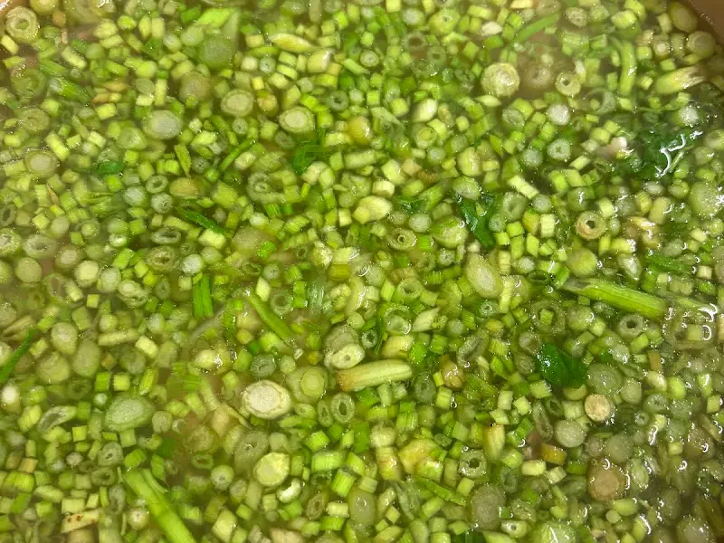 미나리 클로즈업