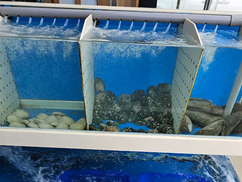 싱싱한 해산물 수조