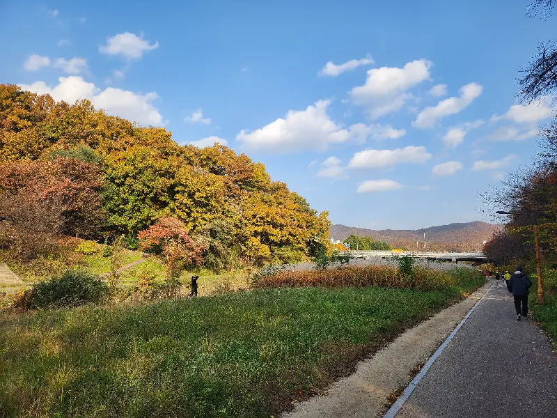 함덕의 아름다운 풍경