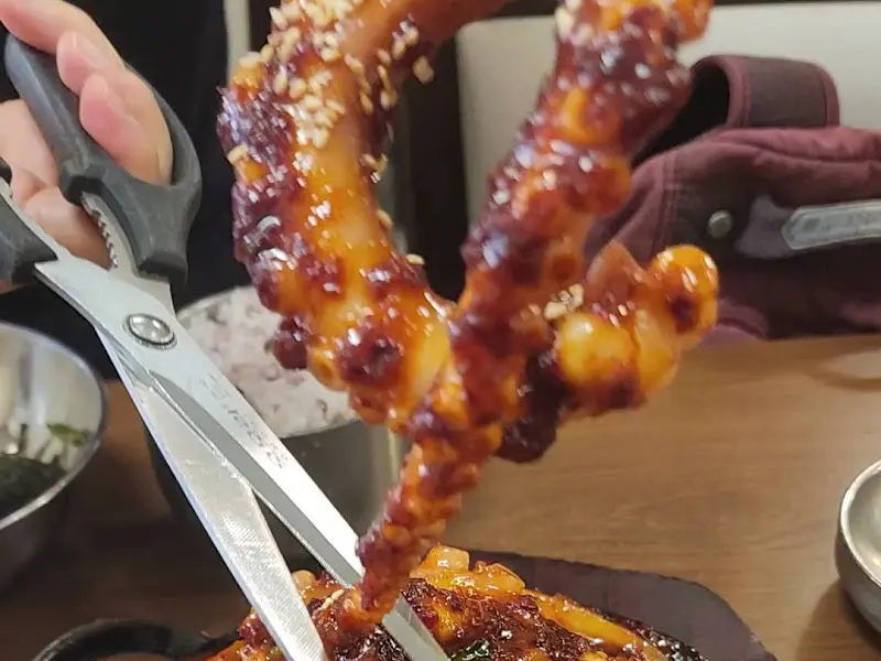 가위로 낙지 자르는 모습