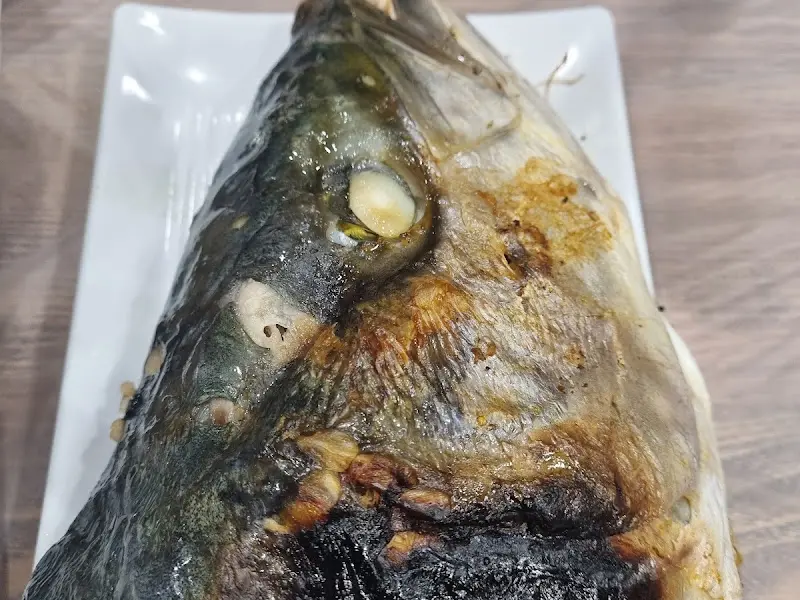 방어 머리 확대샷