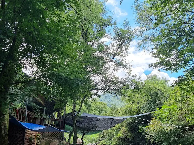 식당에서 보이는 계곡 뷰