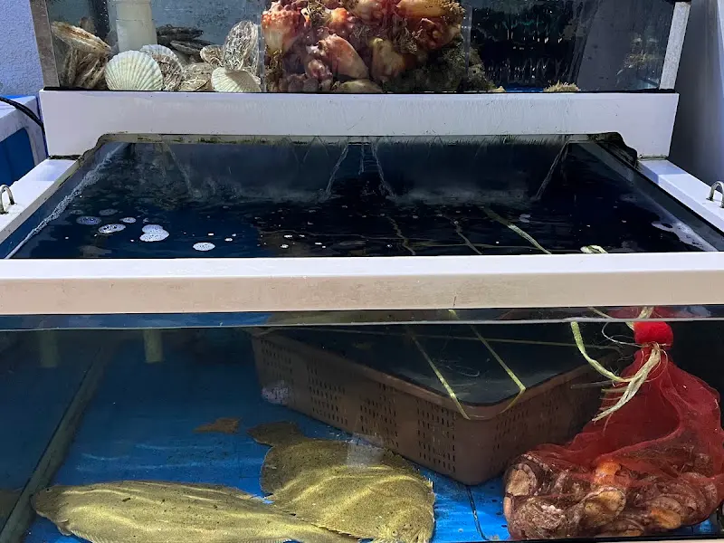 수족관에 싱싱한 해산물이 가득!