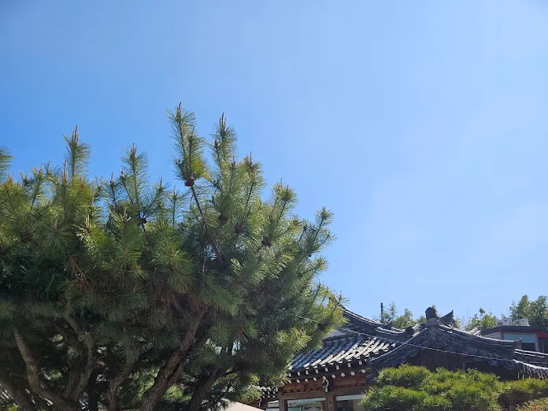 아비아채에서 바라본 하늘