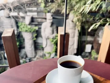 커피 과학자의 부산 모모스커피 본점 탐방기: 정원에서 발견한 맛의 오아시스