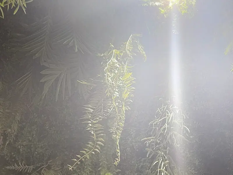 레스토랑 내부 장식