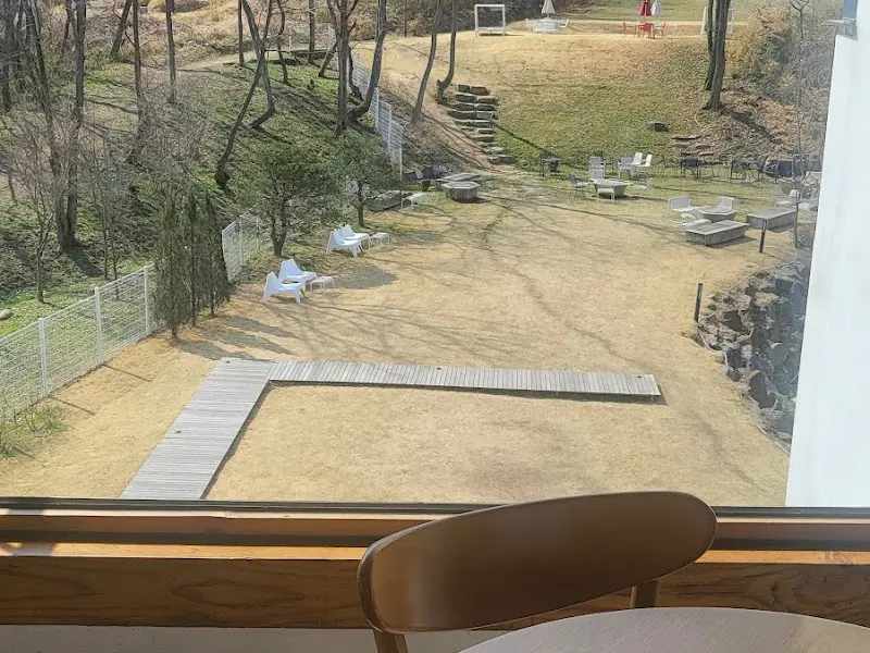 두두당 카페 창밖 정원 풍경