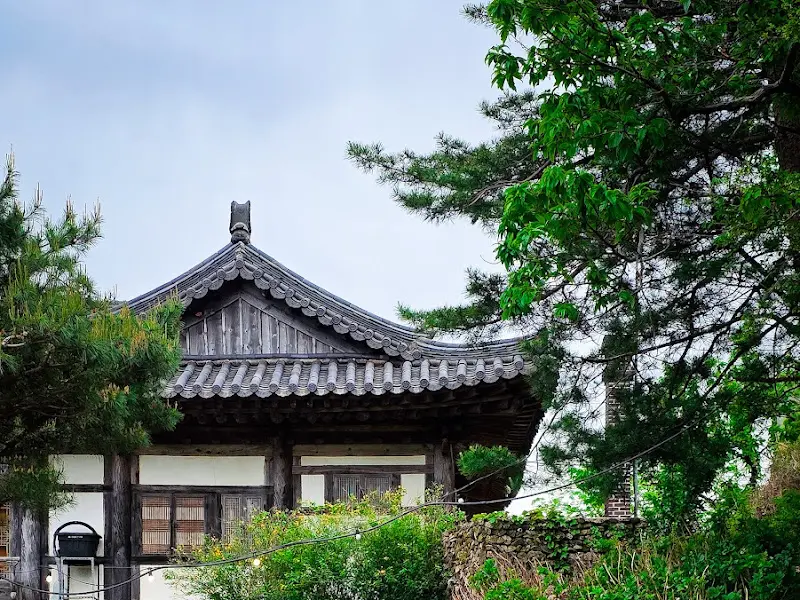 한옥 지붕과 푸른 나무