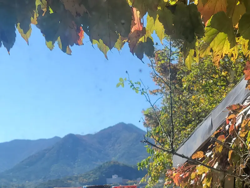 울긋불긋 단풍이 든 울산 가랑잎새의 가을 풍경