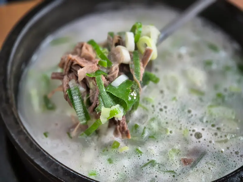 숟가락 위의 고기