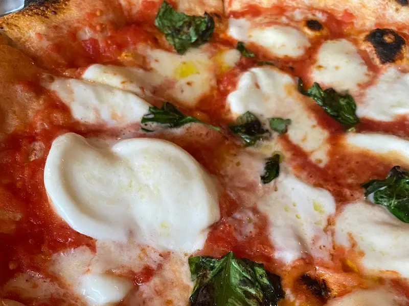 모짜렐라 치즈와 바질이 올라간 피자 클로즈업