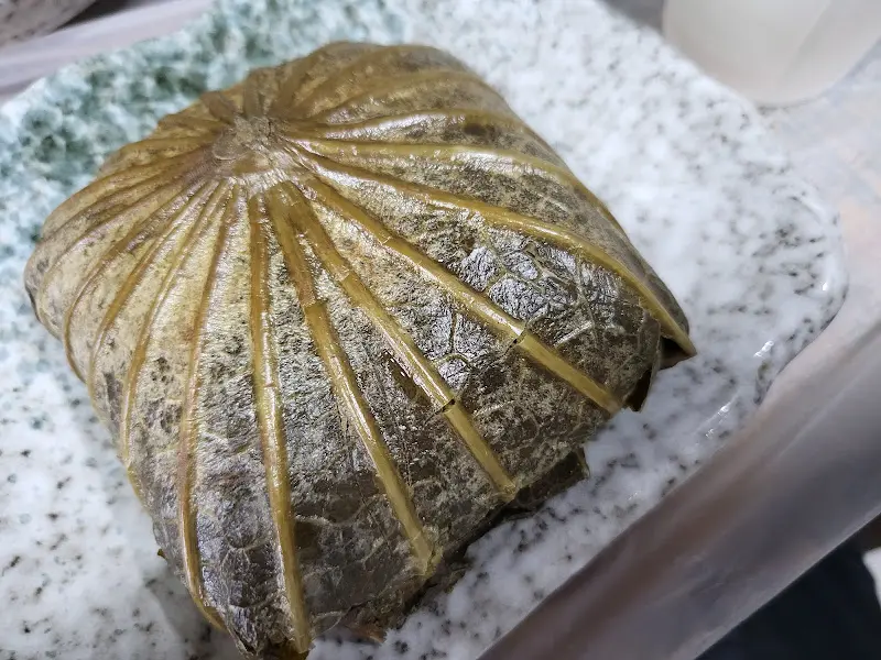 연잎에 곱게 싸여진 연잎밥