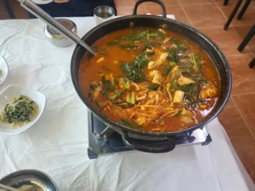 청송의 숨은 보석, 남해식당에서 맛보는 얼큰한 메기 매운탕 한 상! 혼밥 지역 맛집 탐험기