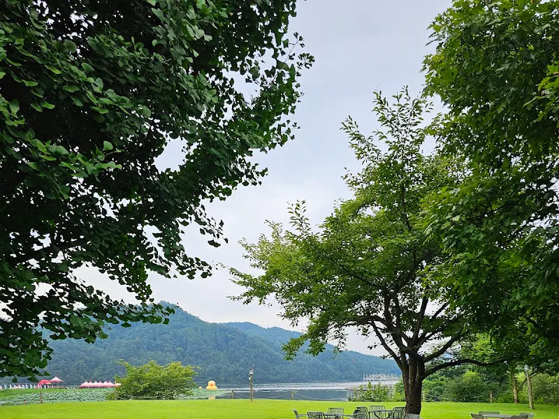 푸른 잔디밭과 북한강 뷰