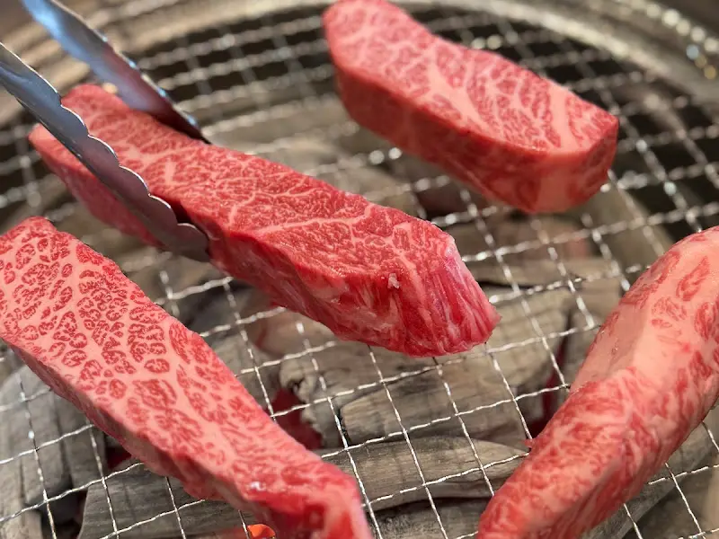 최고 품질의 한우