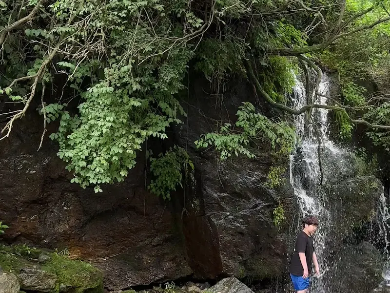 계곡의 작은 폭포