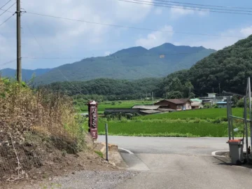 초평호반 숨은 보석, 진천 “사또가든”에서 맛보는 향토음식의 정수! 혼밥 충전 맛집