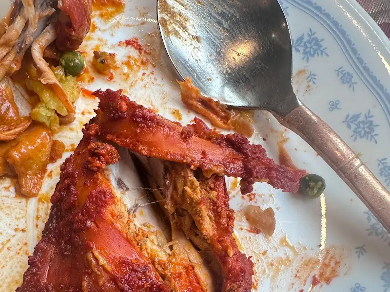 마차푸처레에서 맛본 탄두리 치킨