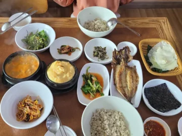 발효 과학이 깃든 내덕동 한식 밥상, 장미회콩요리에서 찾은 청주 맛집의 정수