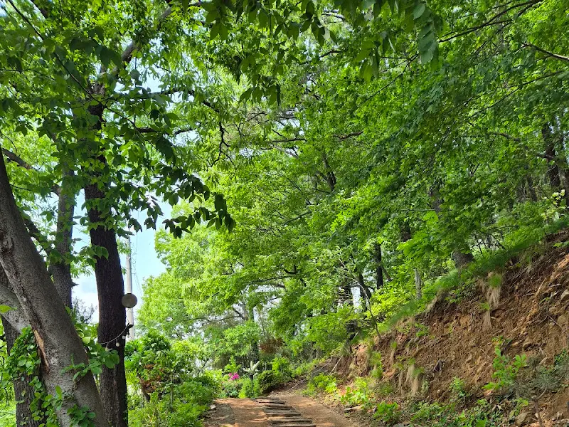 울산 가랑잎새로 향하는 숲길